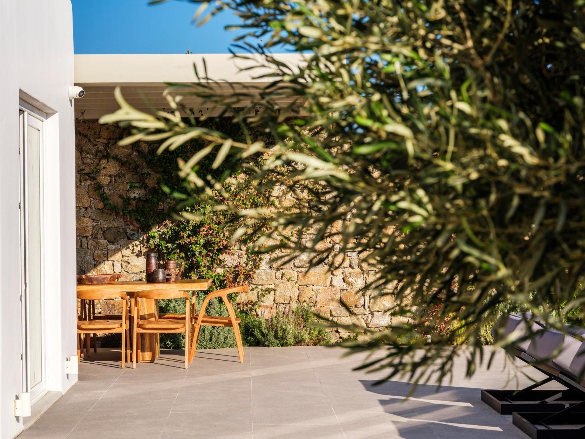 Blue Eye Grand Villa Mykonos 卡拉法蒂斯 外观 照片